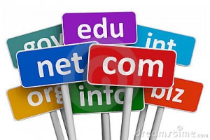 domain name seekdotnet