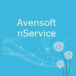 NService Logo 